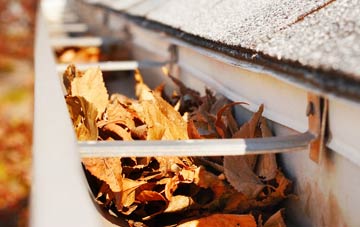 Row gutter cleaning companies