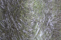 Row fibreglass roof work